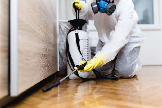 Pest Prevention Services in Barrington, NJ