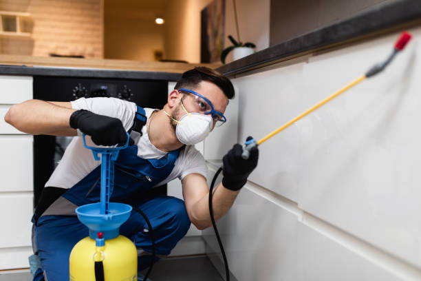 Best Emergency Pest Control  in Barrington, NJ