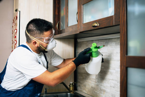 Best Pest Inspection Near Me  in Barrington, NJ