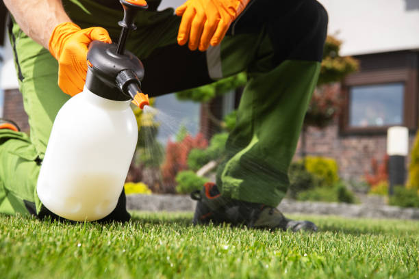 Best Pest Control Cost  in Barrington, NJ