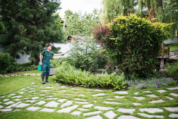 Best Commercial Pest Control Services  in Barrington, NJ