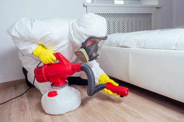 Best Insect Control  in Barrington, NJ
