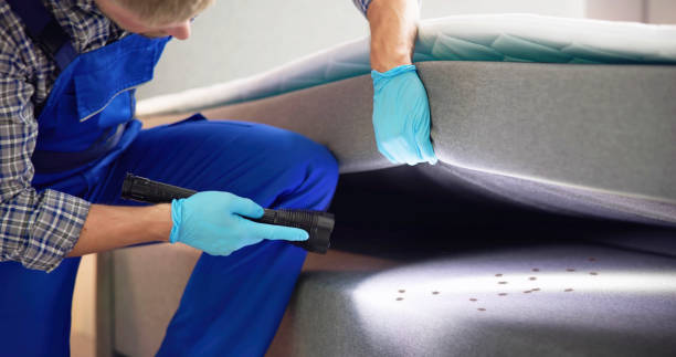 Best Affordable Pest Control Services  in Barrington, NJ