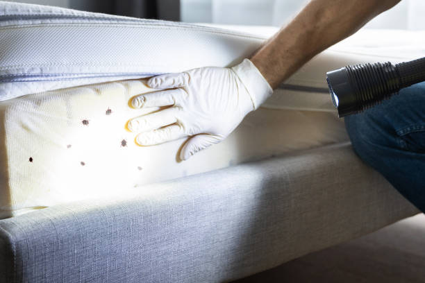 Barrington, NJ Pest Control Company