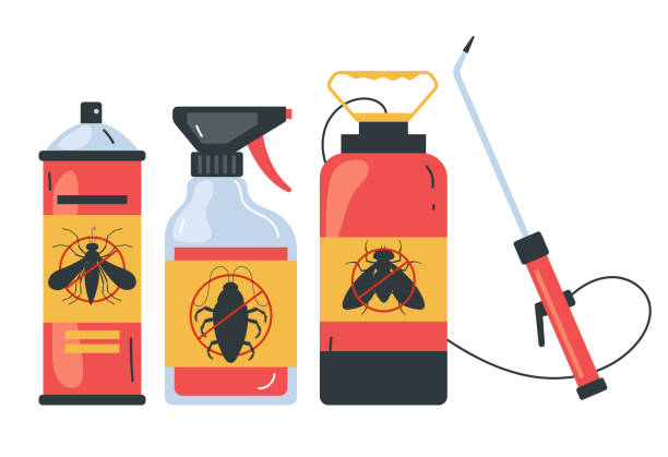 Best Termite Control Services  in Barrington, NJ