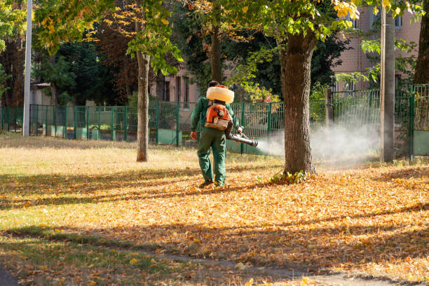 Best Flea Control Services  in Barrington, NJ