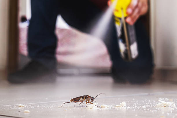 Best Bed Bug Extermination  in Barrington, NJ