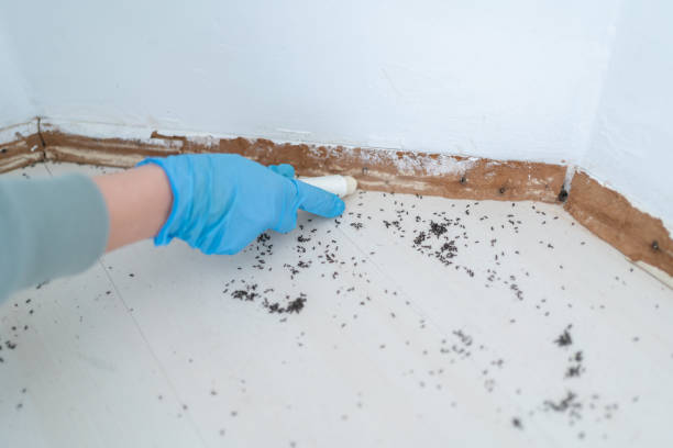 Best Cockroach Control Services  in Barrington, NJ