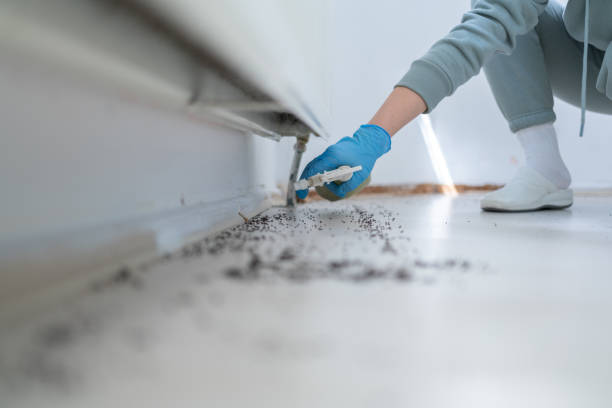 Best Mosquito Control Services  in Barrington, NJ